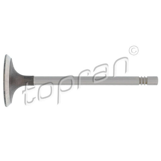 110 195 - Inlet valve 