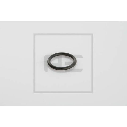 046.101-00A - Seal Ring 