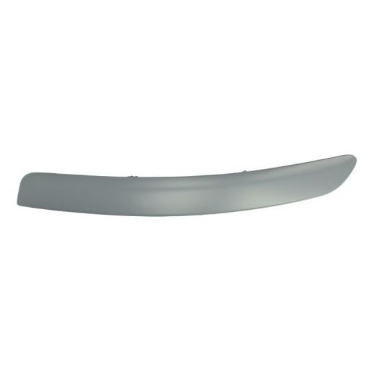 6502-07-8109921P - Trim/Protective Strip, bumper 