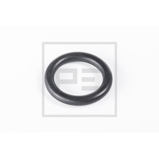 124.012-00A - Seal Ring 