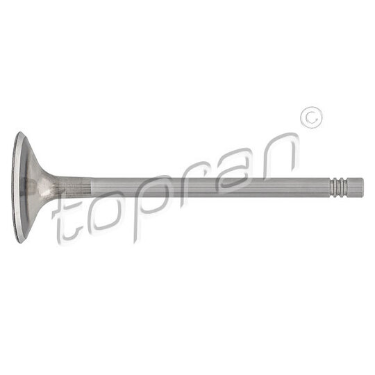 110 203 - Inlet valve 
