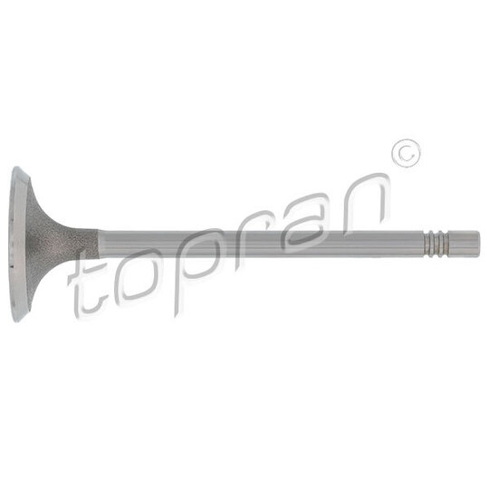 110 213 - Inlet valve 