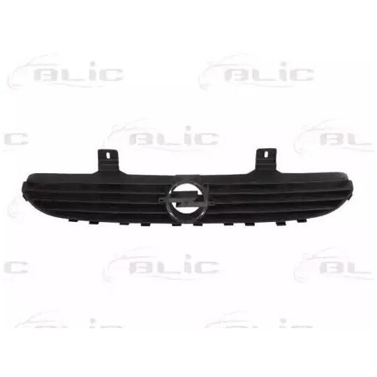 6502-07-5022993P - Radiator Grille 