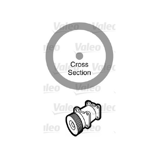 509173 - Seal, coolant tube 