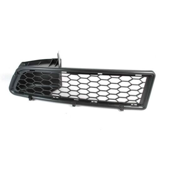 6502-07-1301991P - Ventilation Grille, bumper 