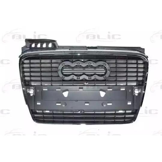 6502-07-0028990P - Radiator Grille 