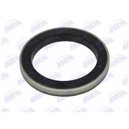 B06-2013 - Shaft Seal, wheel bearing 
