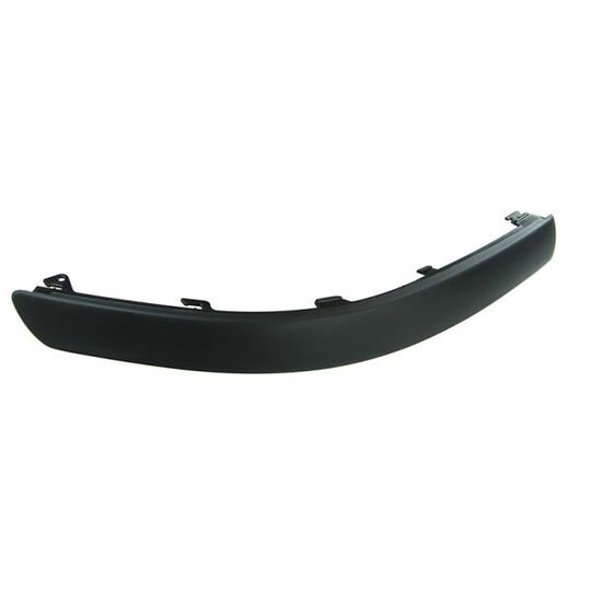 5703-05-9539928P - Trim/Protective Strip, bumper 