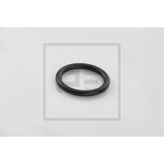 126.142-00A - Seal Ring 