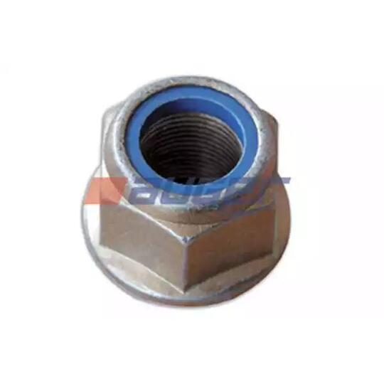 51493 - Kingpin Nut, (spring bracket) 