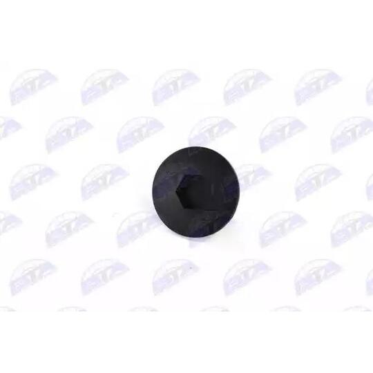 BPD-SC-028 - Sealing-/Protection Plugs 