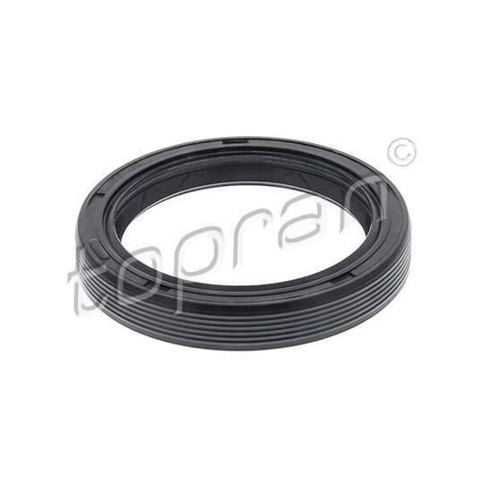 100 076 - Shaft Seal, differential 