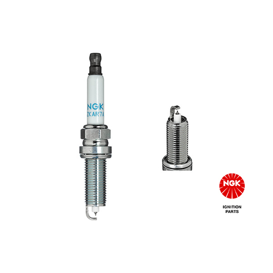 6043 - Spark Plug 