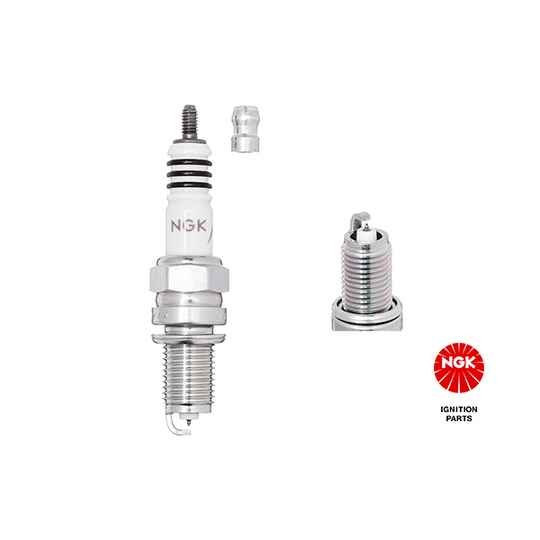 8196 - Spark Plug 