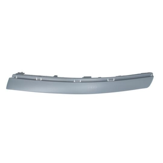 5703-05-9539923P - Trim/Protective Strip, bumper 