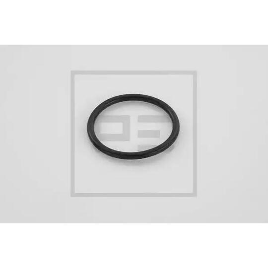 031.160-00A - Rubber Ring 