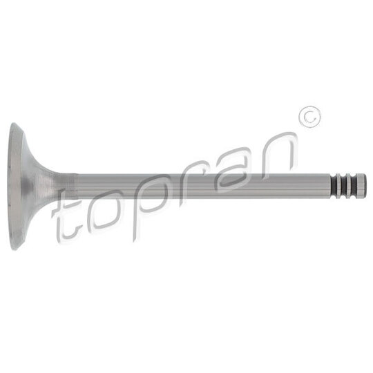 100 614 - Inlet valve 