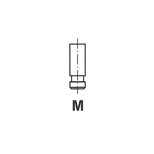 R6191/BMCR - Outlet valve 