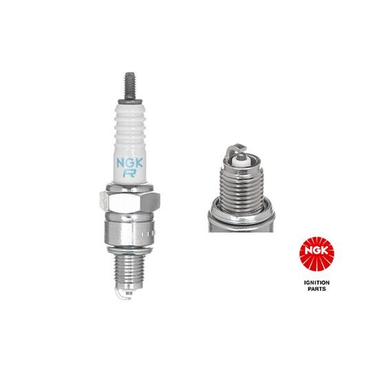 2430 - Spark Plug 