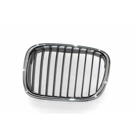 6502-07-0065991P - Radiator Grille 