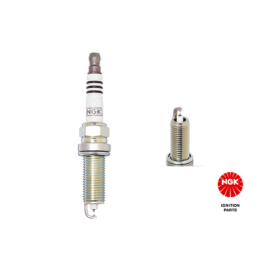 1317 - Spark Plug 