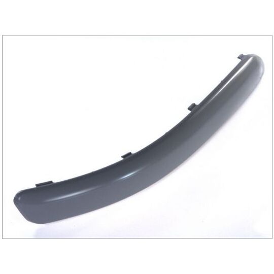 5510-00-9506924P - Trim/Protective Strip, bumper 