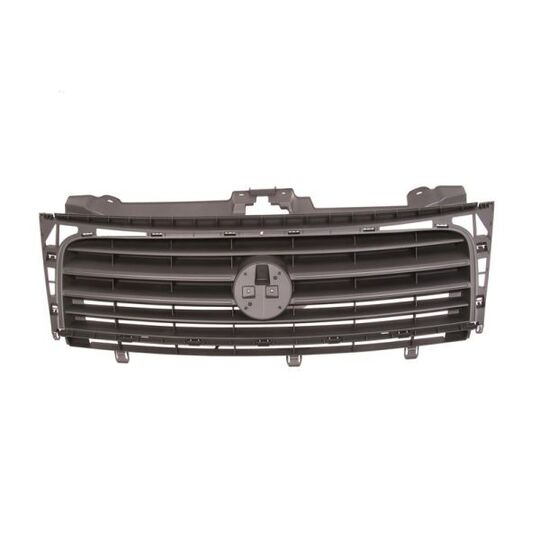 6502-07-2035990P - Radiator Grille 