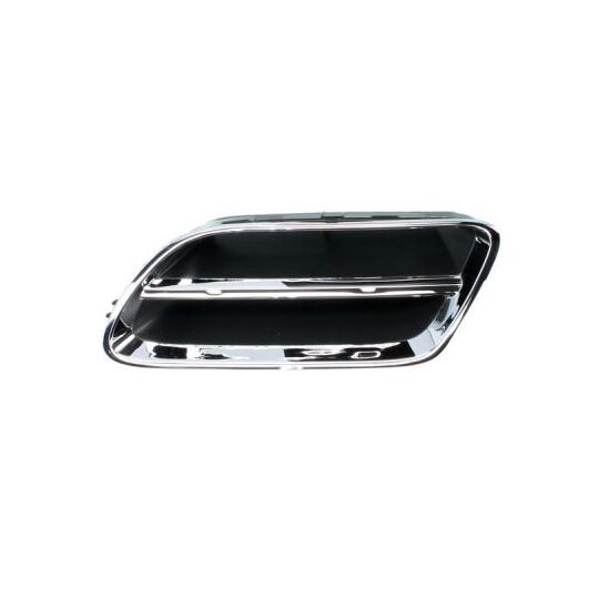 6502-07-1668991P - Radiator Grille 