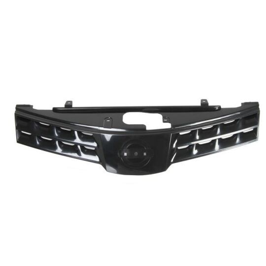 6502-07-1635990P - Radiator Grille 