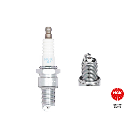 4534 - Spark Plug 