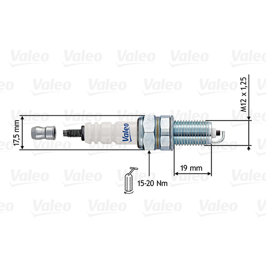 246905 - Spark Plug 