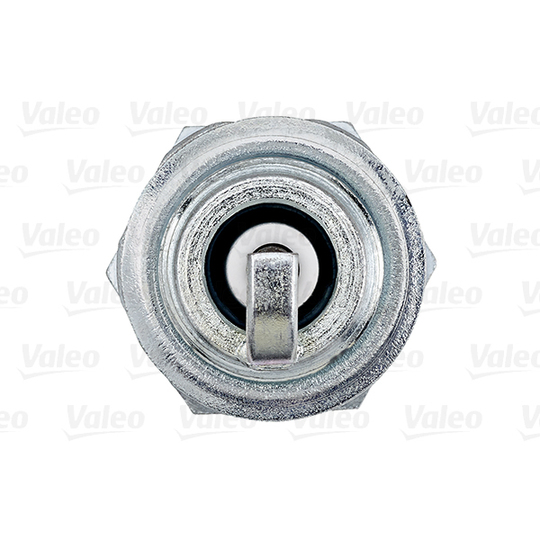 246905 - Spark Plug 