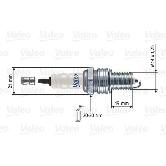 246909 - Spark Plug 