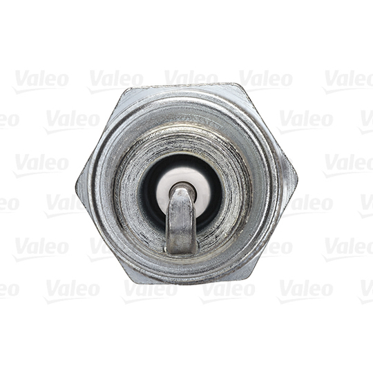 246909 - Spark Plug 