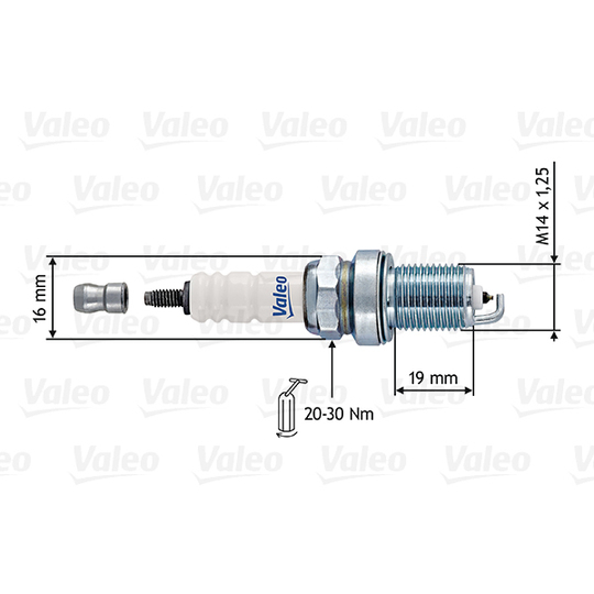 246916 - Spark Plug 