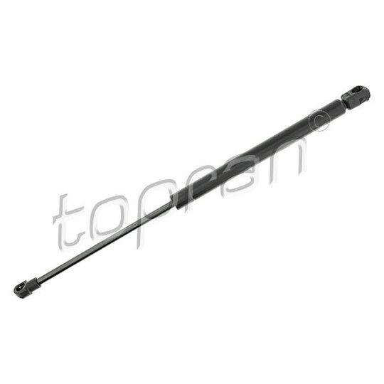 115 244 - Gas Spring, bonnet 