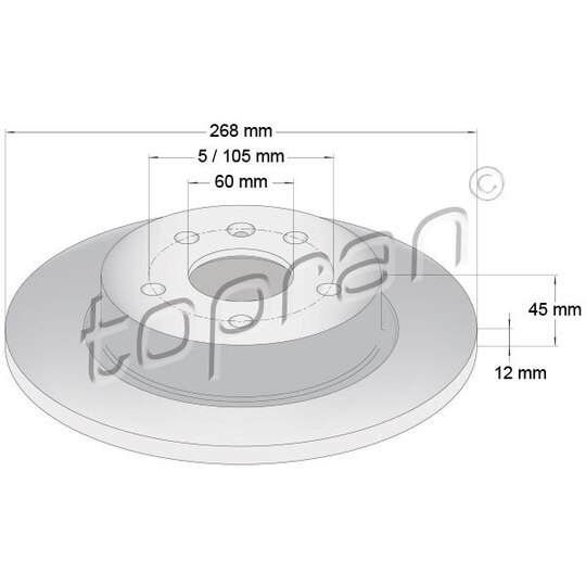 208 309 - Brake Disc 