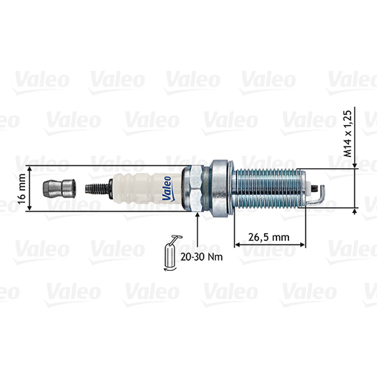 246867 - Spark Plug 