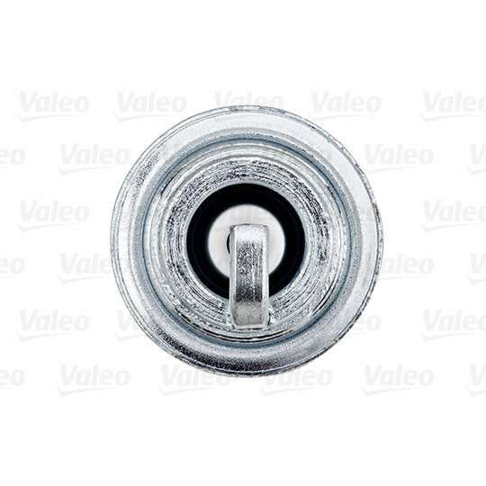 246867 - Spark Plug 