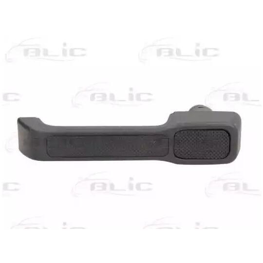 6010-07-015406P - Door Handle 