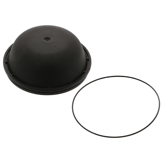 46134 - Protection Lid, wheel hub 