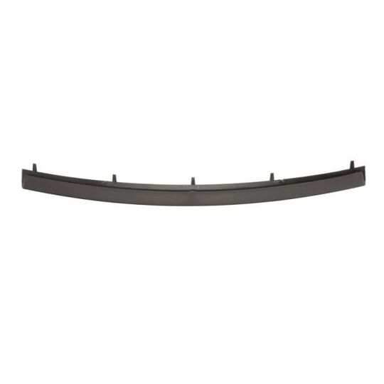 6502-07-0062923P - Trim/Protective Strip, bumper 