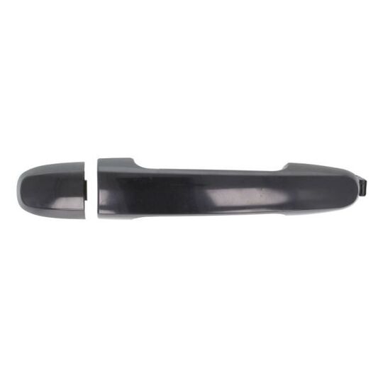 6010-19-059402P - Door Handle 