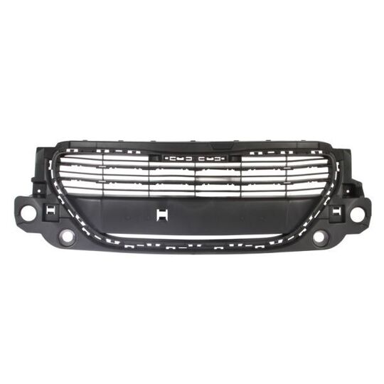 6502-07-5511990P - Radiator Grille 