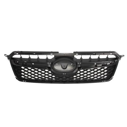 6502-07-6735994P - Radiator Grille 