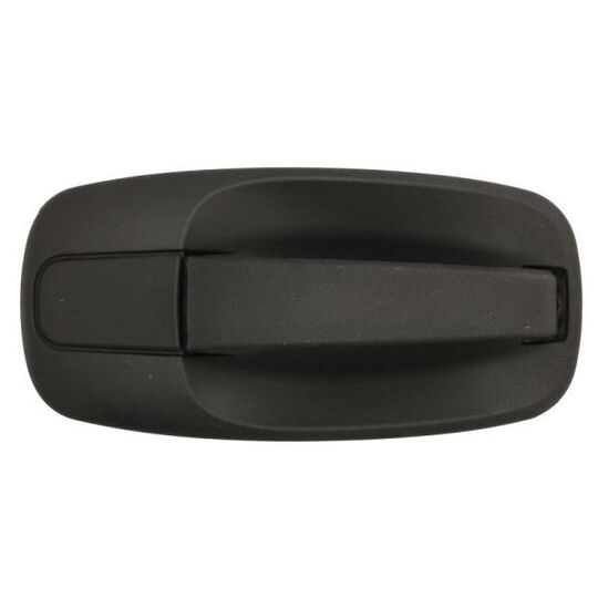 6010-09-041410P - Door Handle 