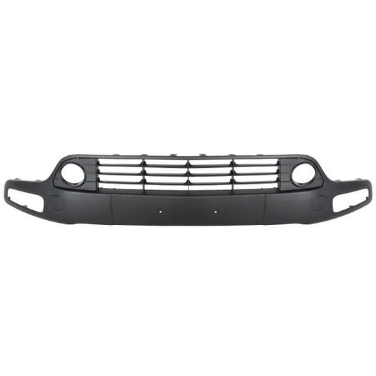 6509-01-2019921P - Trim/Protective Strip, bumper 