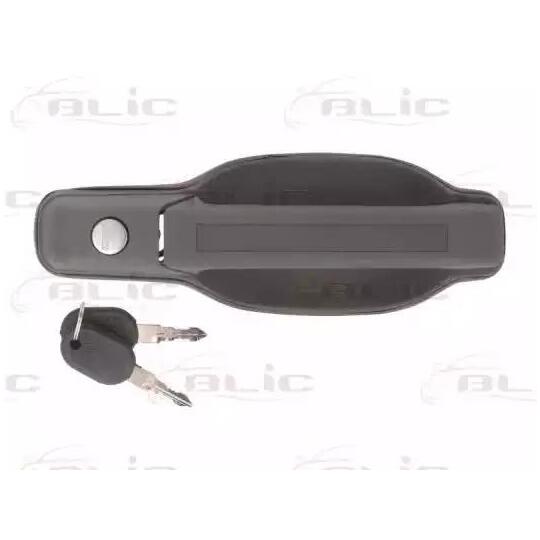 6010-30-001402P - Door Handle 