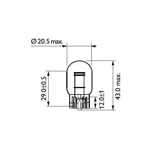 12066CP - Bulb 