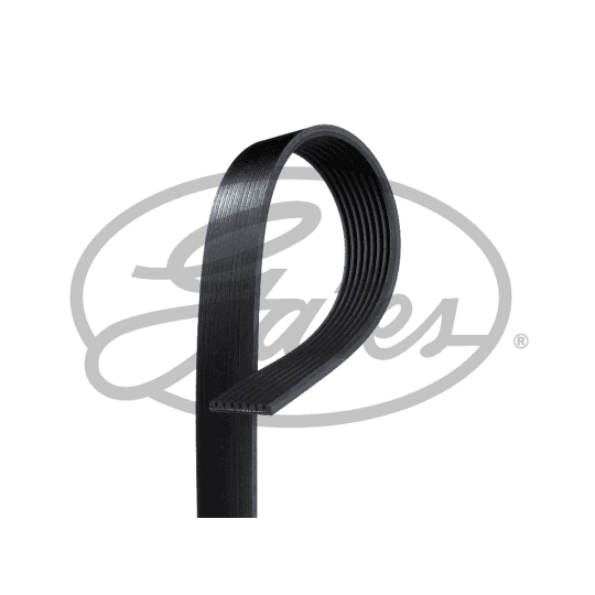 8PK1173 - V-Ribbed Belt 